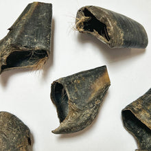 Load image into Gallery viewer, Venison Hoof Nail