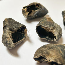 Load image into Gallery viewer, Venison Hoof Nail
