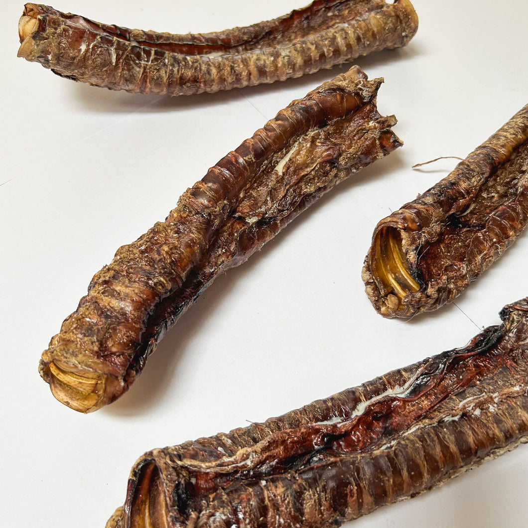 Venison Trachea