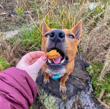 Load image into Gallery viewer, Popcorn Chicken - Launching Soon!
