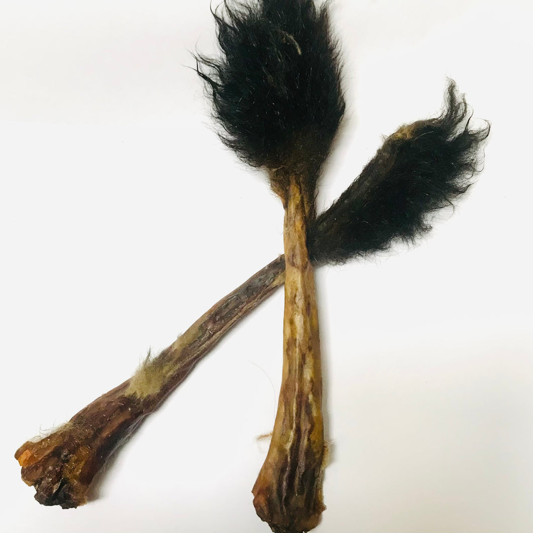 Possum Tail