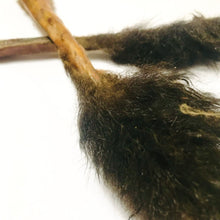 Load image into Gallery viewer, Possum Tail
