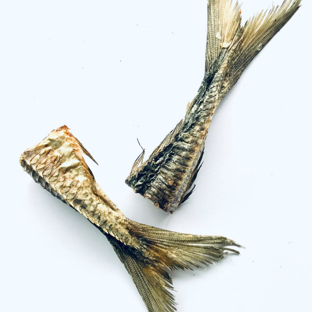 Mackerel Tail