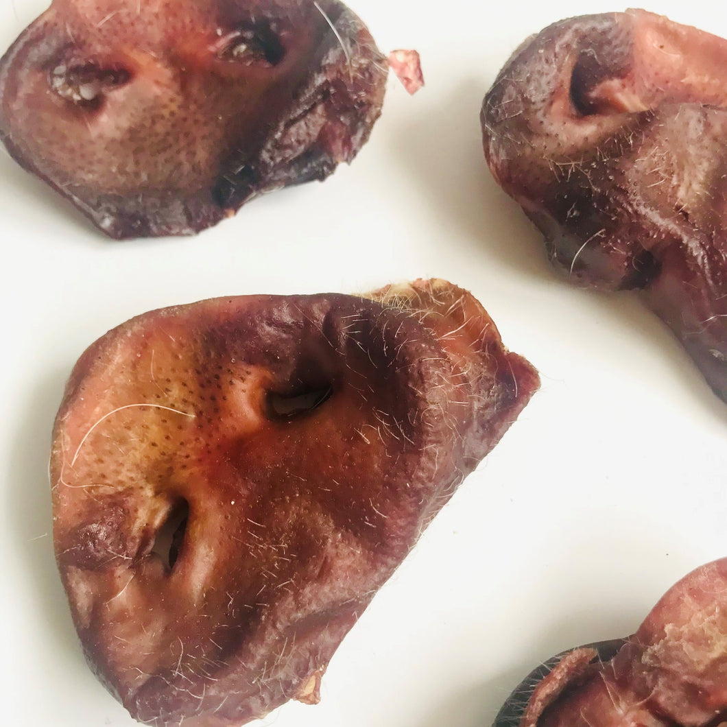 Pig Snout
