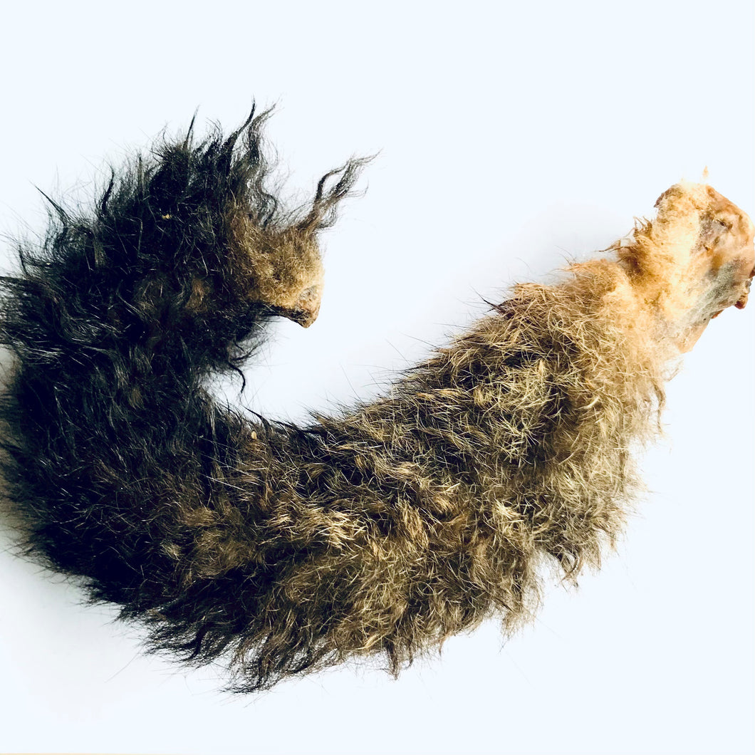 Full Fur Possum Tail