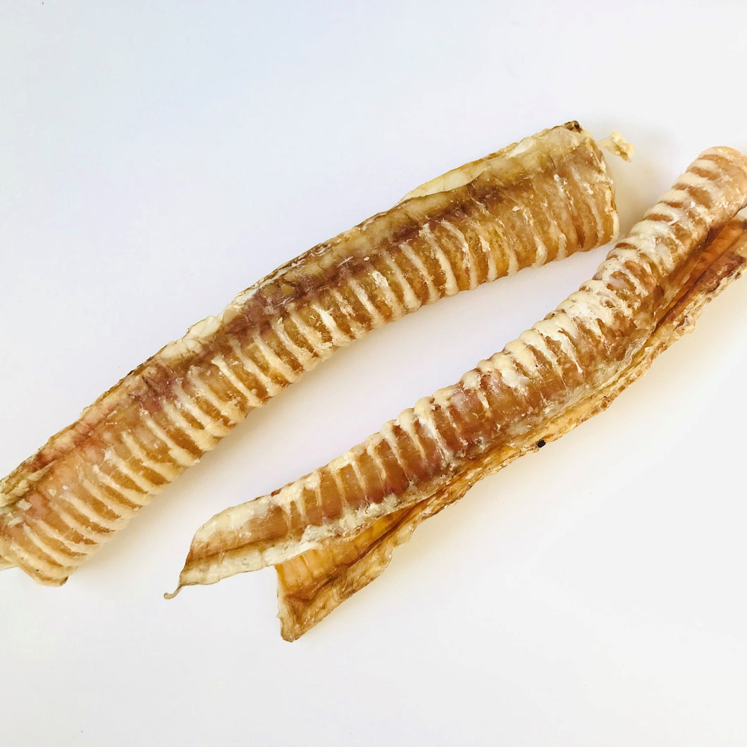Beef Trachea
